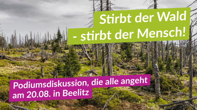 Podiumsdiskussion zum Thema Wälder in Brandenburg
