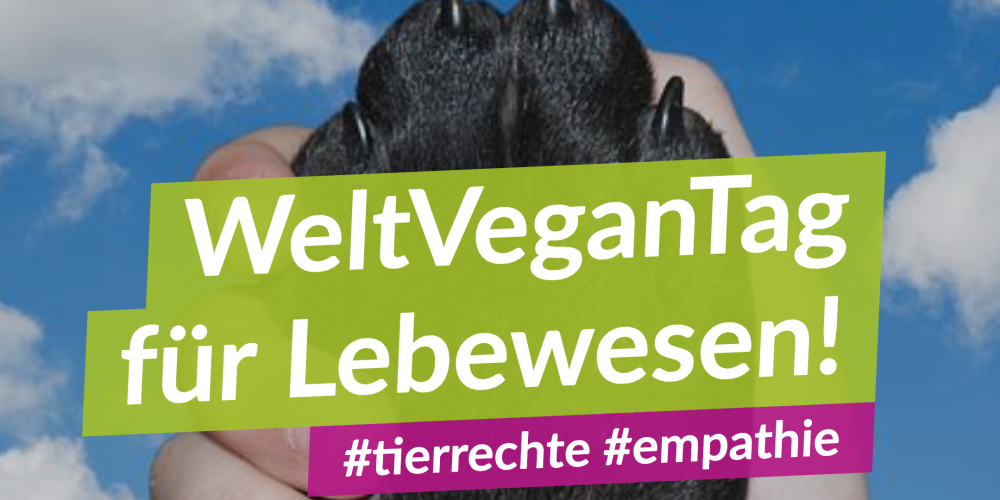 Weltvegantag – Die Auswirkungen der Agrarindustrie in allen Medien