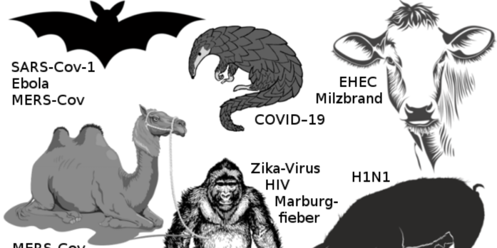 Landesverband Bayern der V-Partei³ fordert Ende des Tiermissbrauchs zum Schutz vor neuen Epidemien